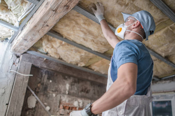 Best Commercial Insulation in Shoreview, MN