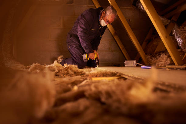 Best Geographic-Specific Insulation Services in Shoreview, MN